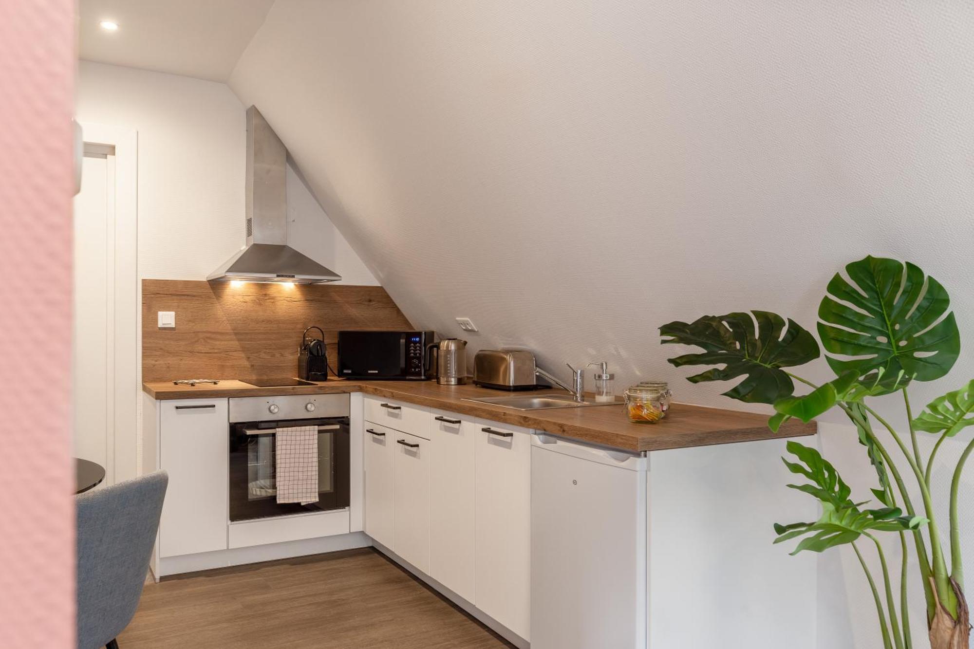 Travel Homes - Rapp, Charm In The Heart Of Colmar Exteriör bild